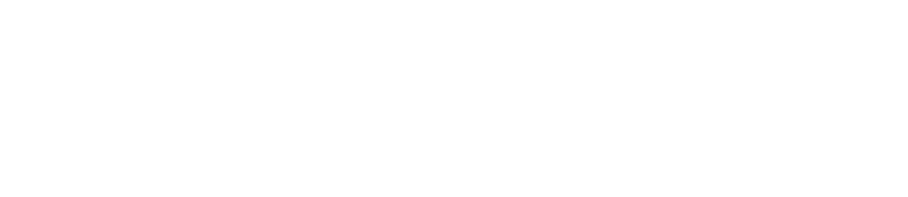 Превосходство Борна logo